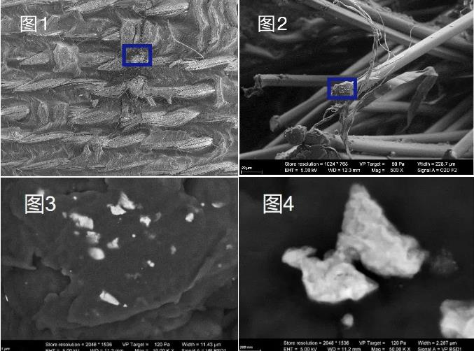 滨州蔡司滨州扫描电镜
