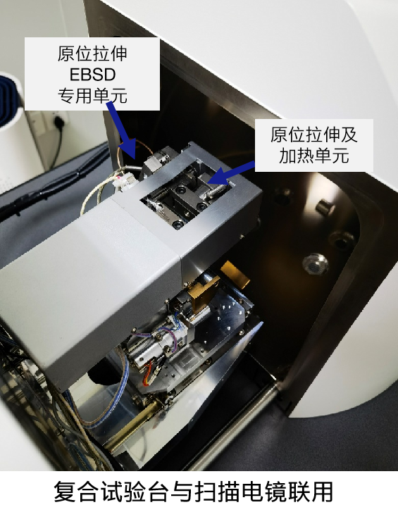 场发射滨州扫描电镜Gemini