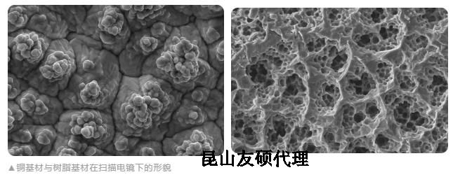 滨州蔡司滨州扫描电镜