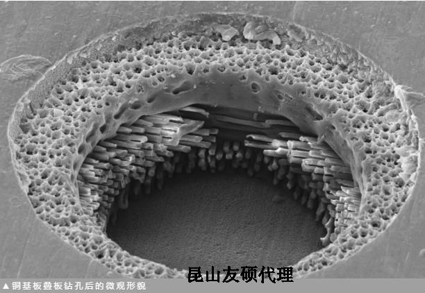 滨州蔡司滨州扫描电镜